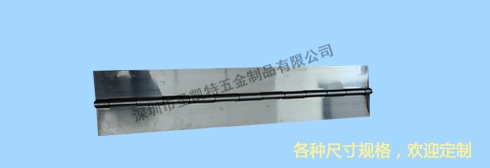 超寬超重型特種鉸鏈